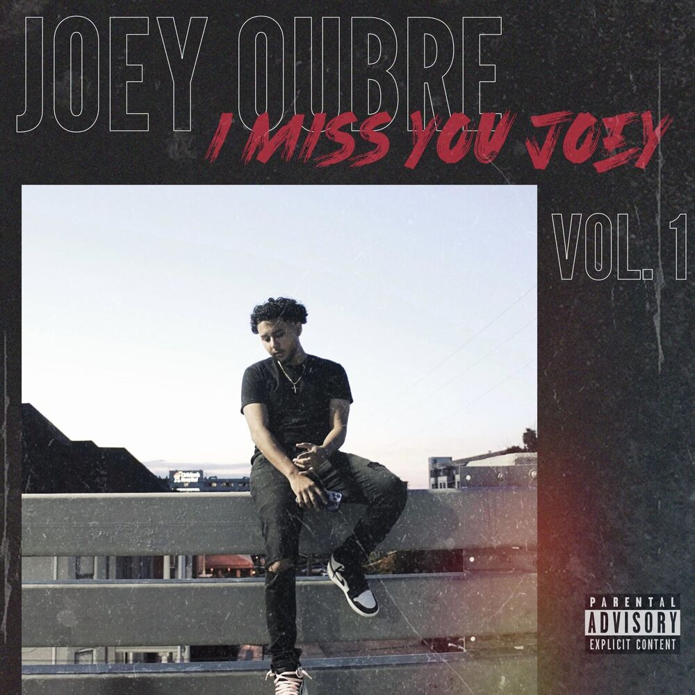 Picture of I MISS YOU JOEY, Vol. 1