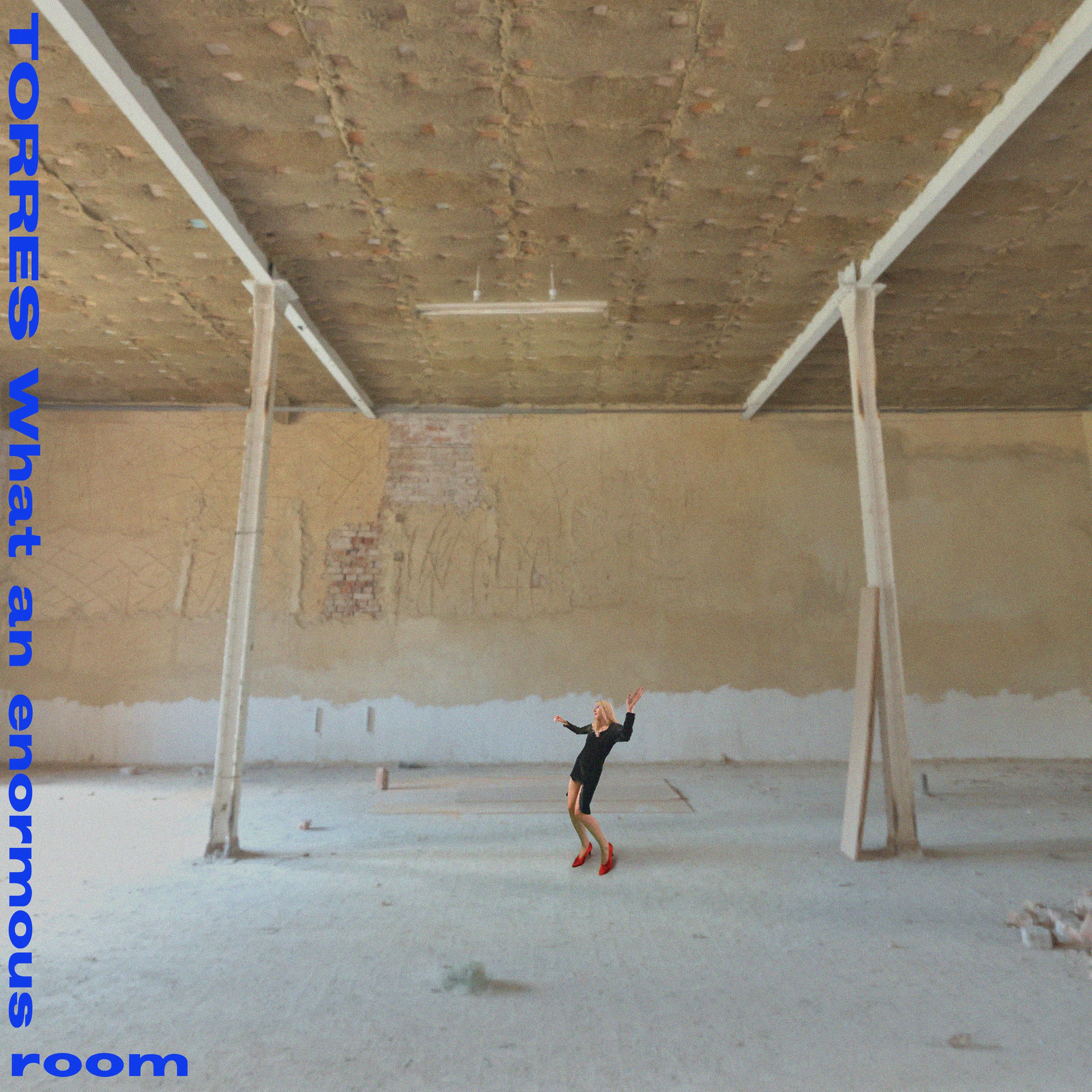 Album cover of What an enormous room