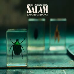Cover of Chacun son salam