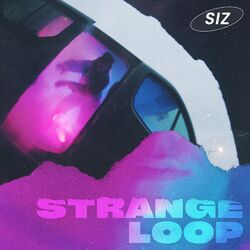 Cover of Strange Loop