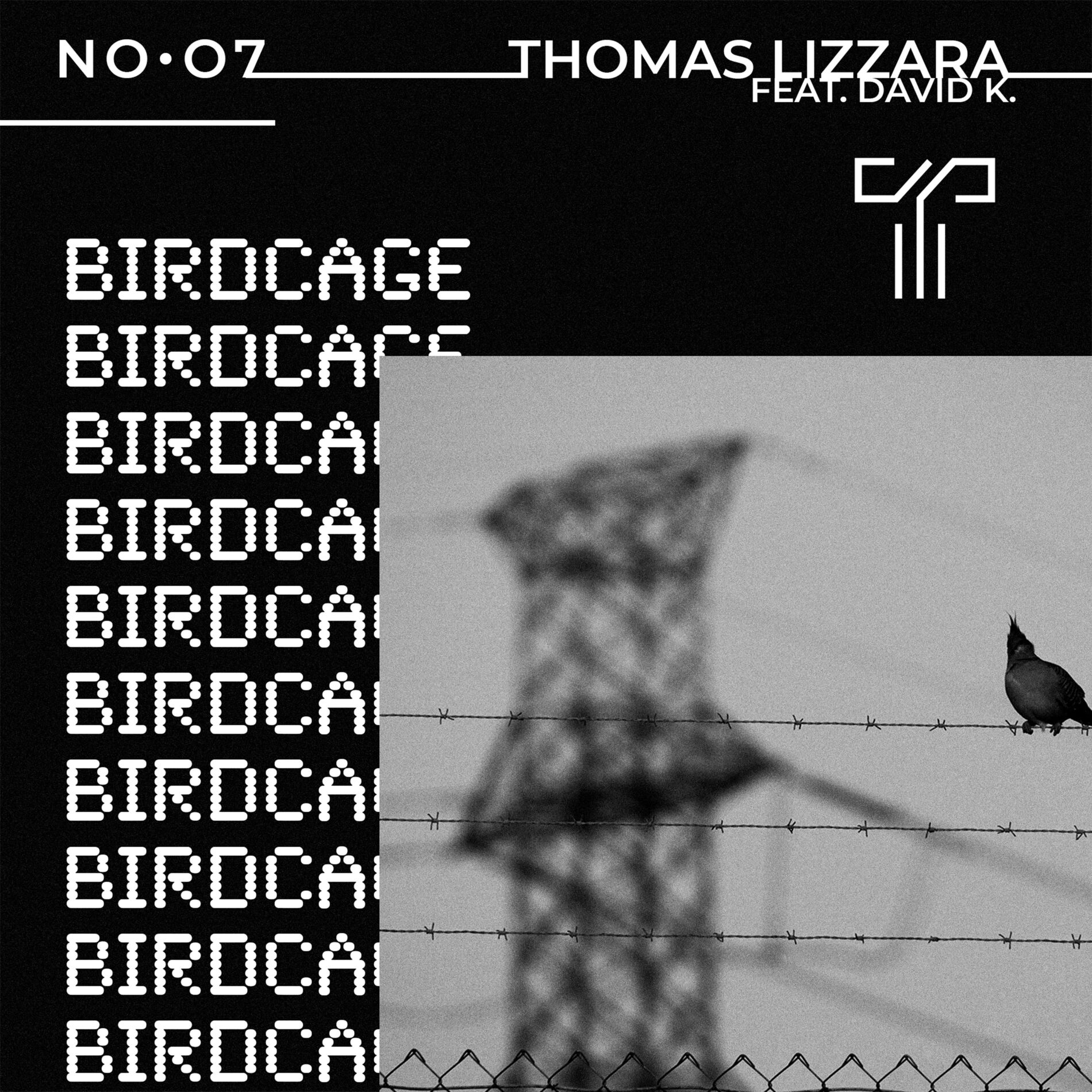 Album cover of Birdcage
