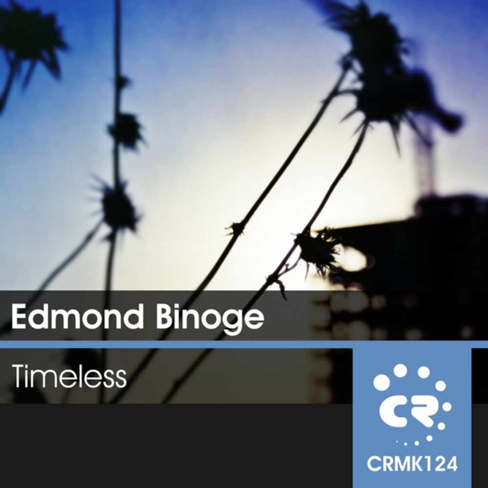 Picture of Timeless