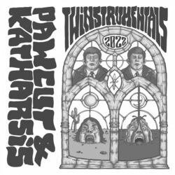 Cover of Twinstrumentals