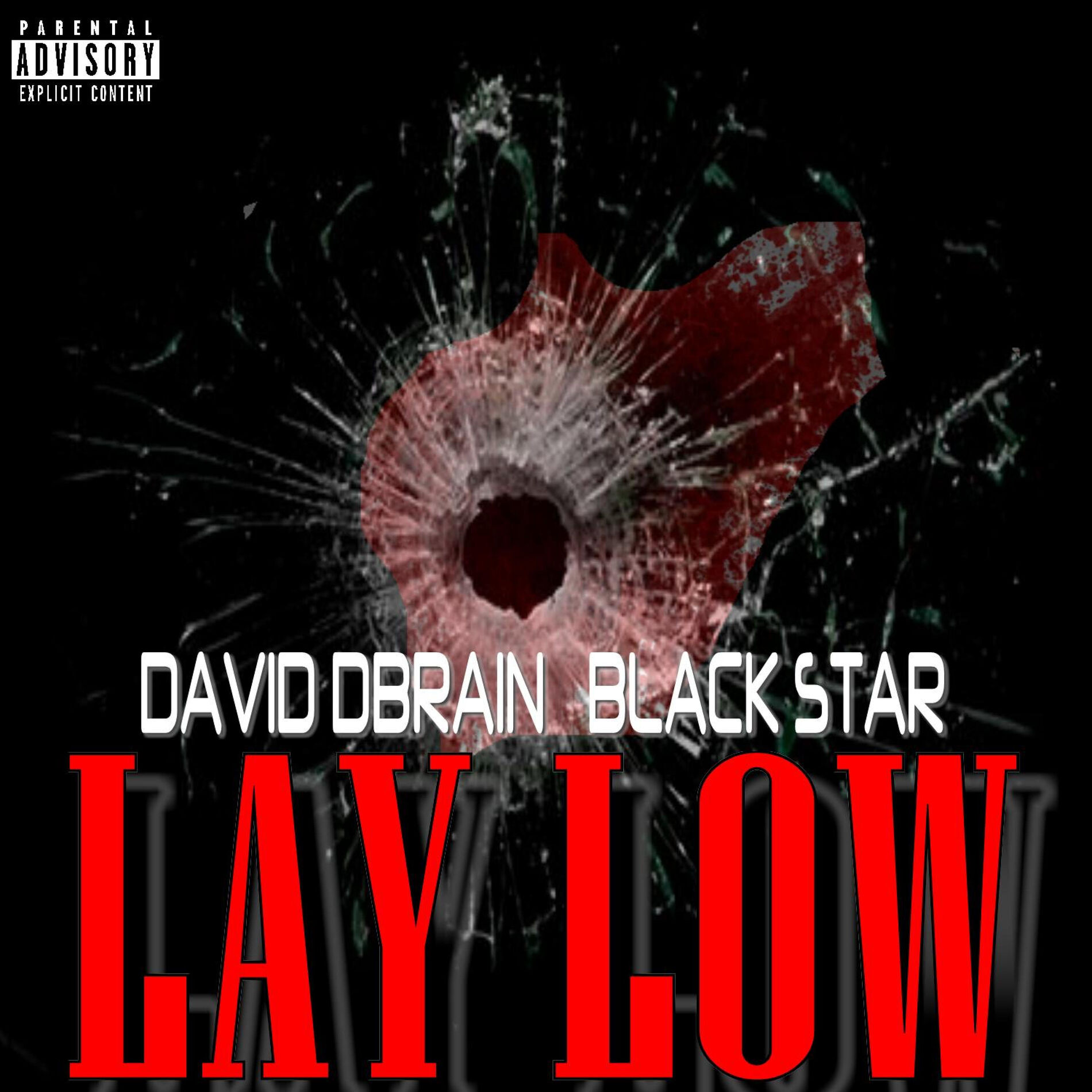 Album cover of Lay Low (feat. Black Star)