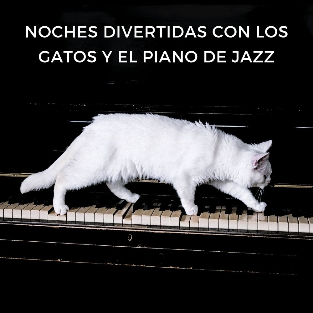 Picture of Noches Divertidas Con Los Gatos Y El Piano De Jazz