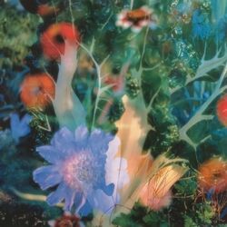 Cover of THRU THE NIGHT