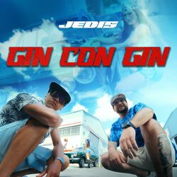 Cover of Gin Con Gin