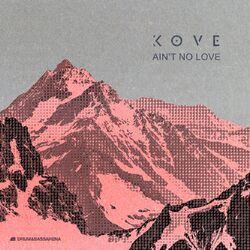 Cover of Ain't No Love