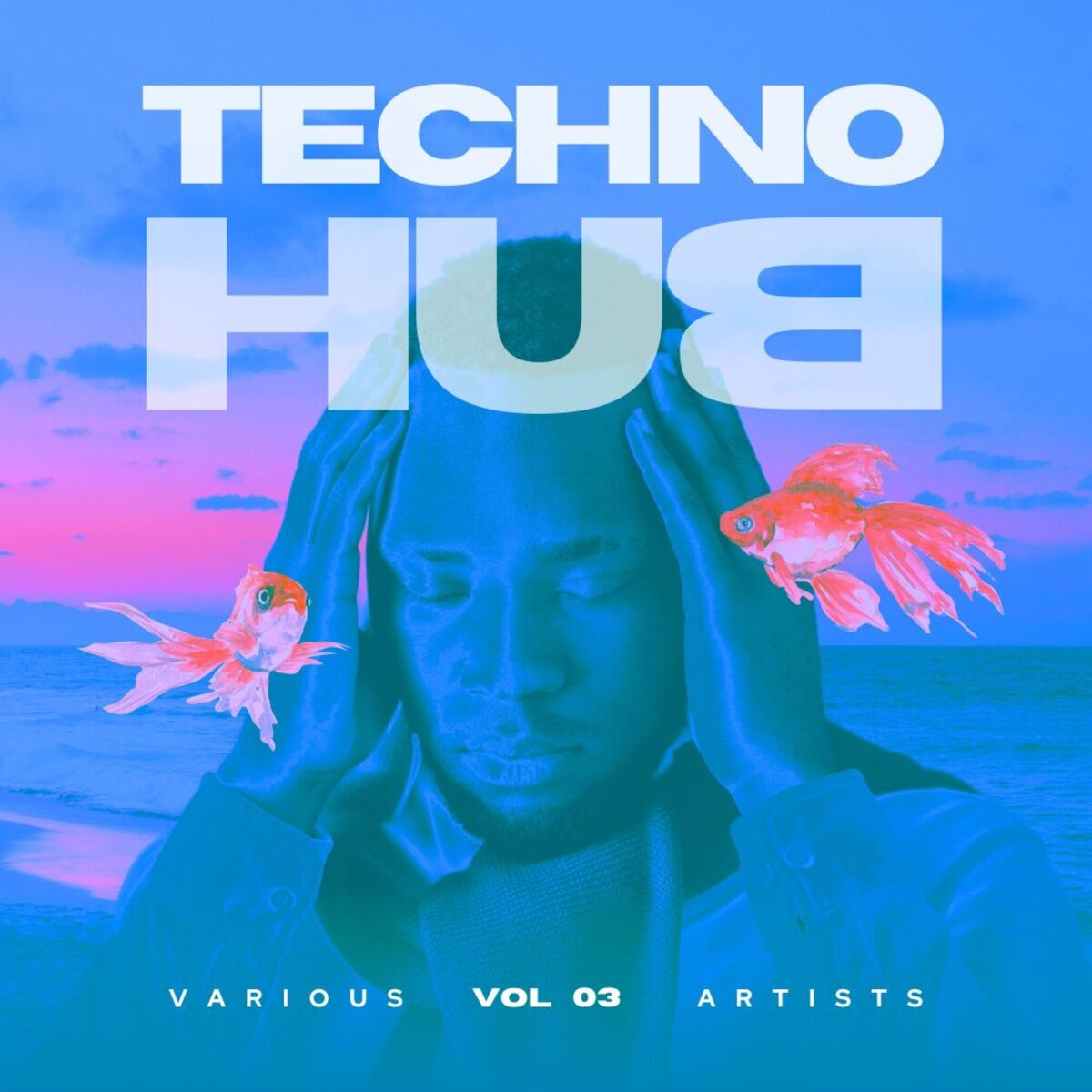Album cover of Techno Hub, Vol. 3