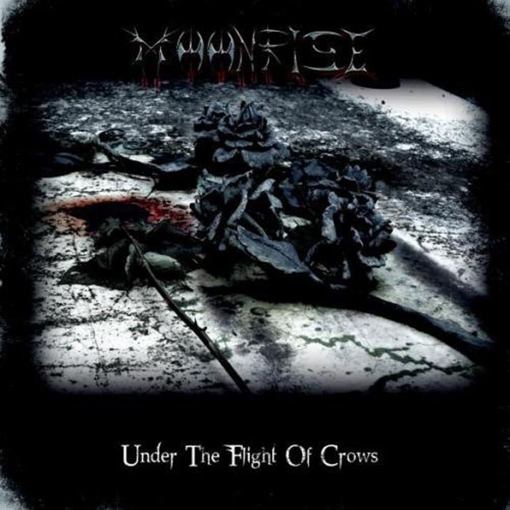 Picture of Under the Flight of Crows