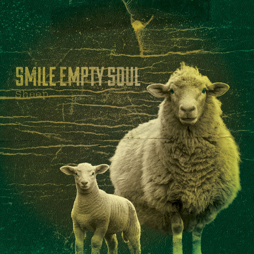 Picture of Sheep