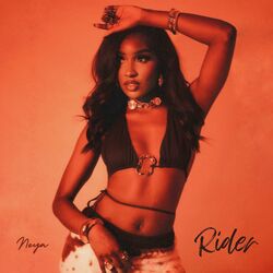 Cover of Rider
