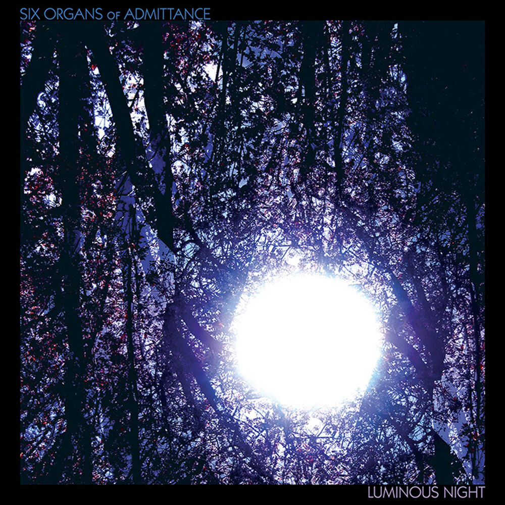 Picture of Luminous Night