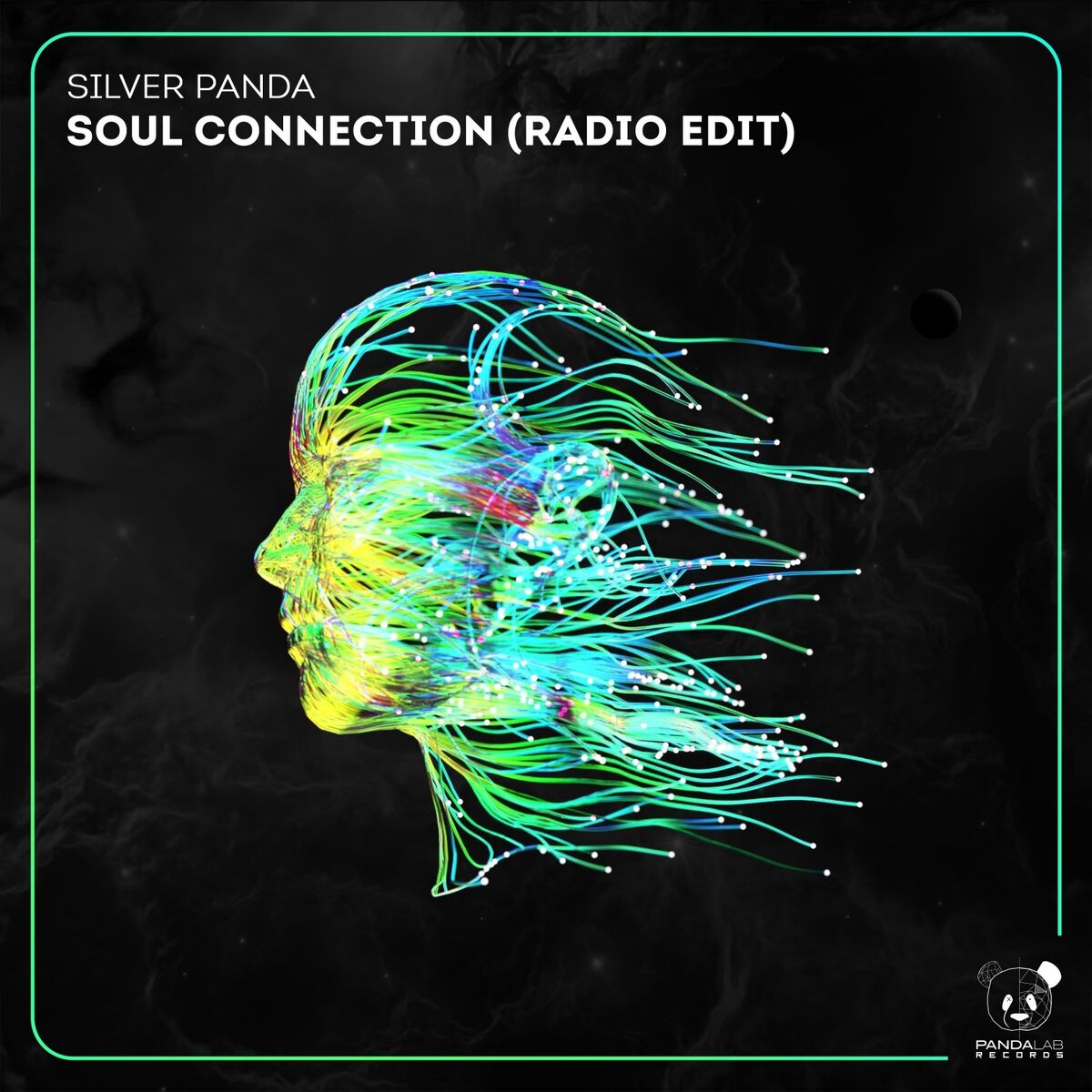 Album cover of Soul Connection