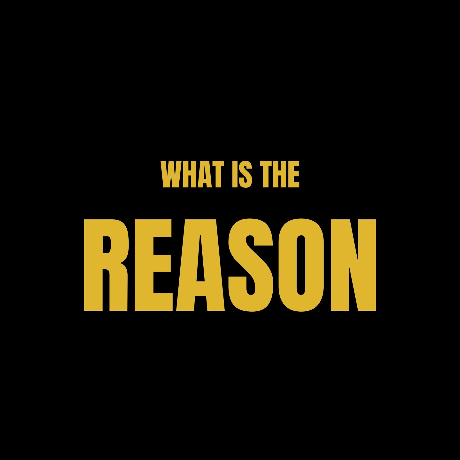 Album cover of What is the reason