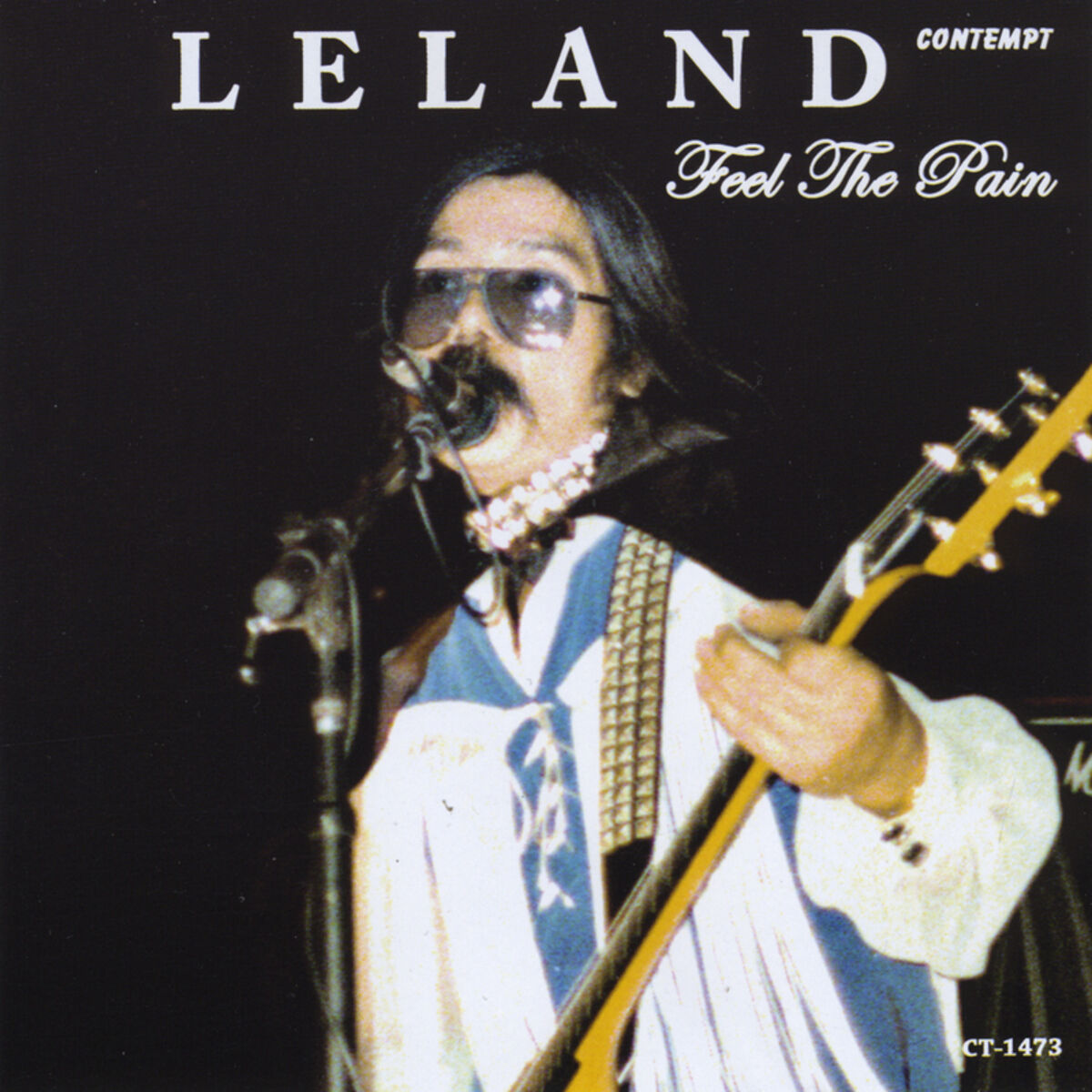 Album cover of Feel the Pain (Remastered)