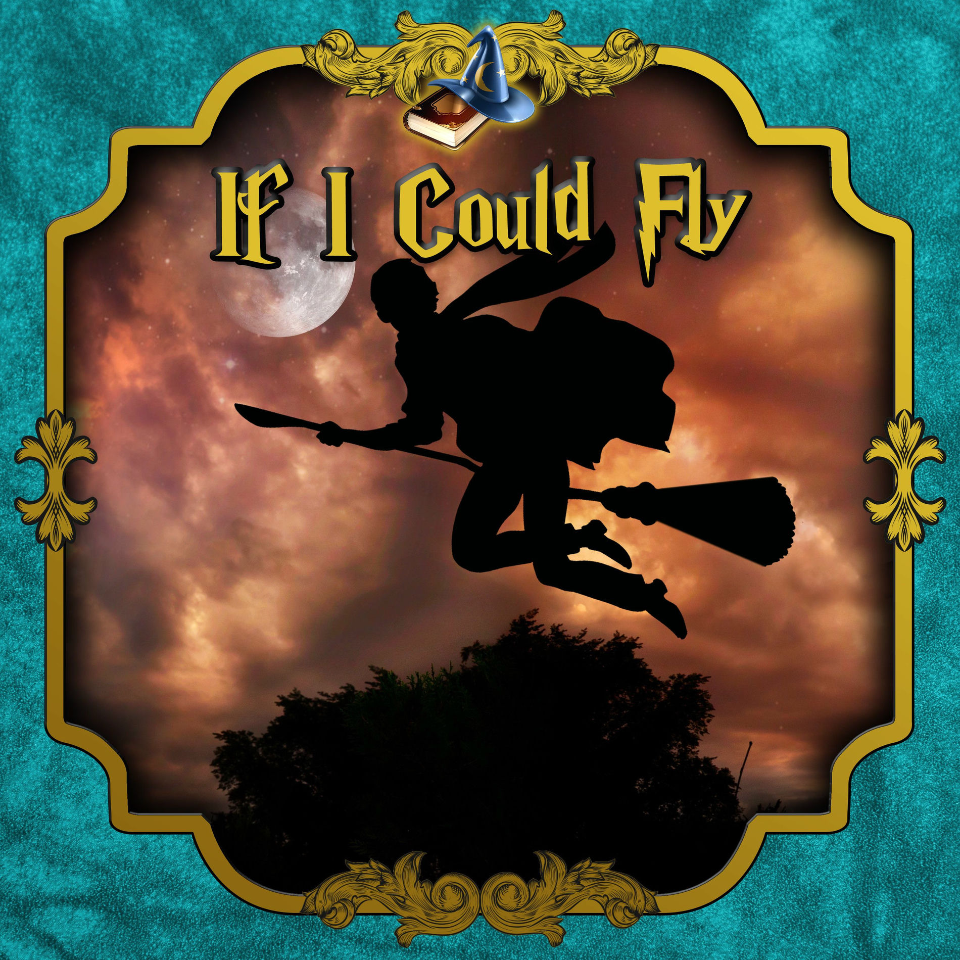 Album cover of If I could fly