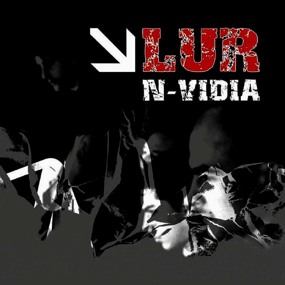 Picture of N-Vidia