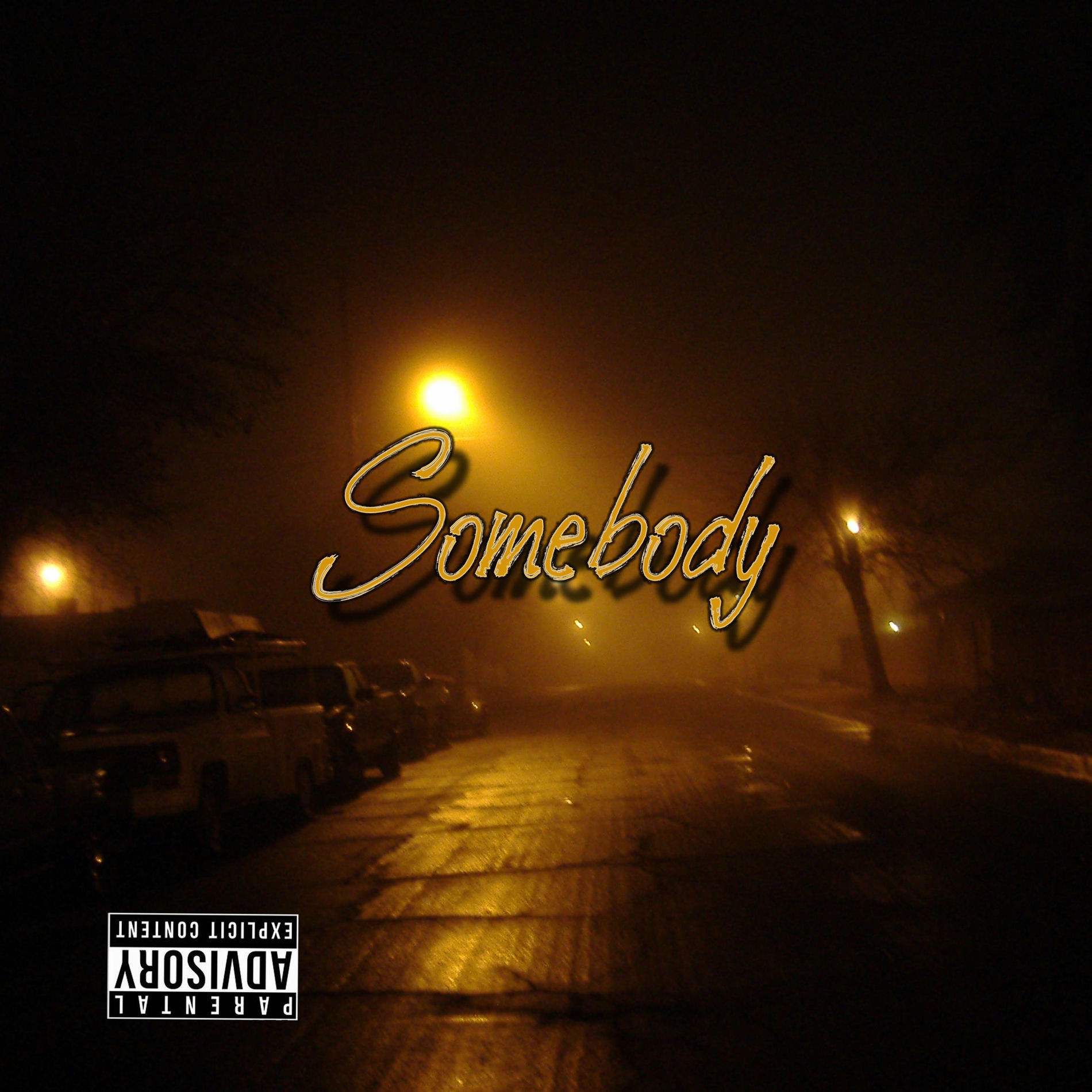 Album cover of Somebody (feat. Junky)