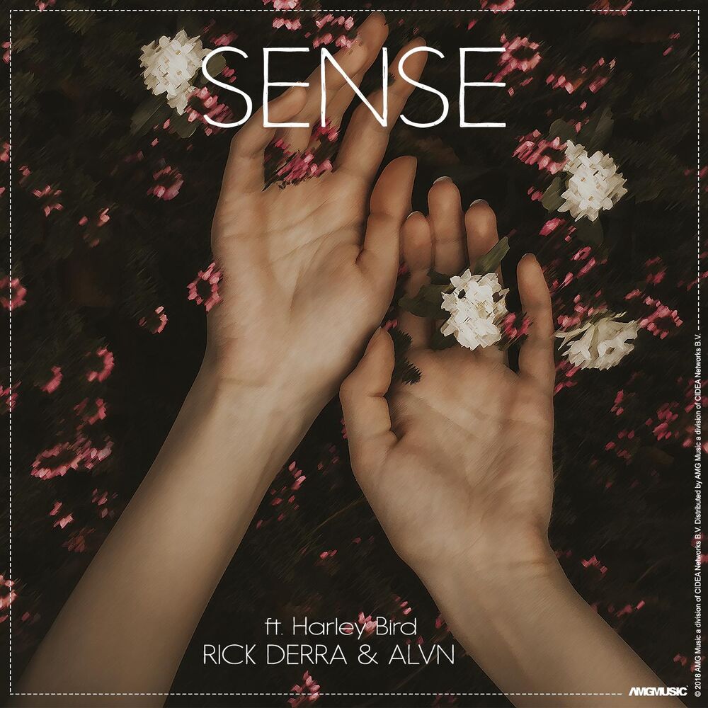Picture of Sense