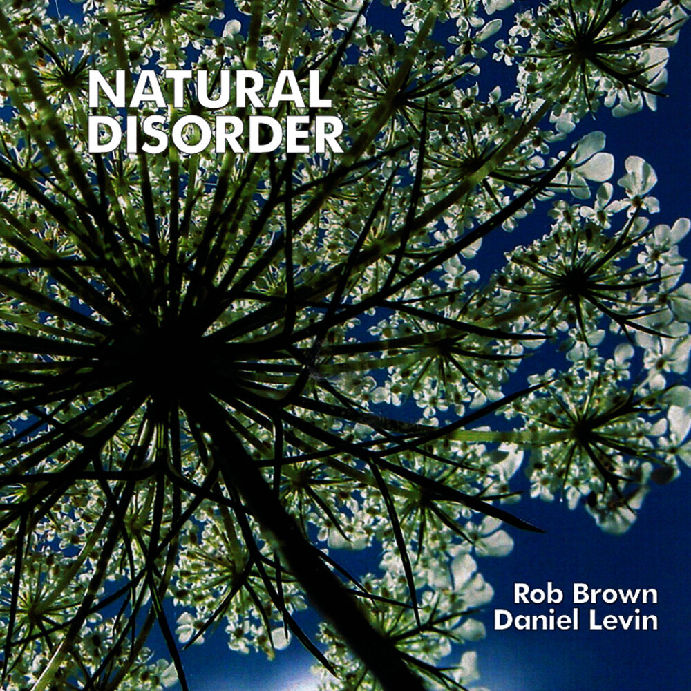 Picture of Natural disorder