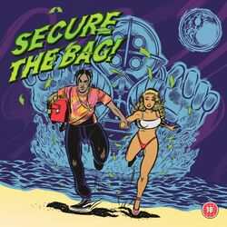Cover of Secure The Bag!