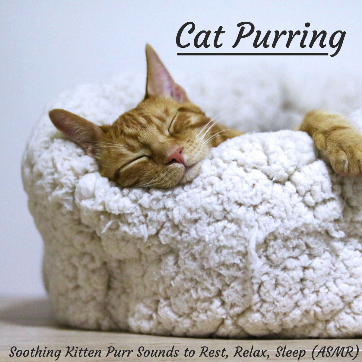 Album cover of Purring Cat to Reduce Stress, Anxiety, and Calm