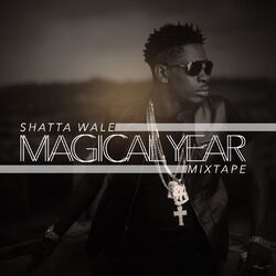 Cover of Magical Year Mixtape