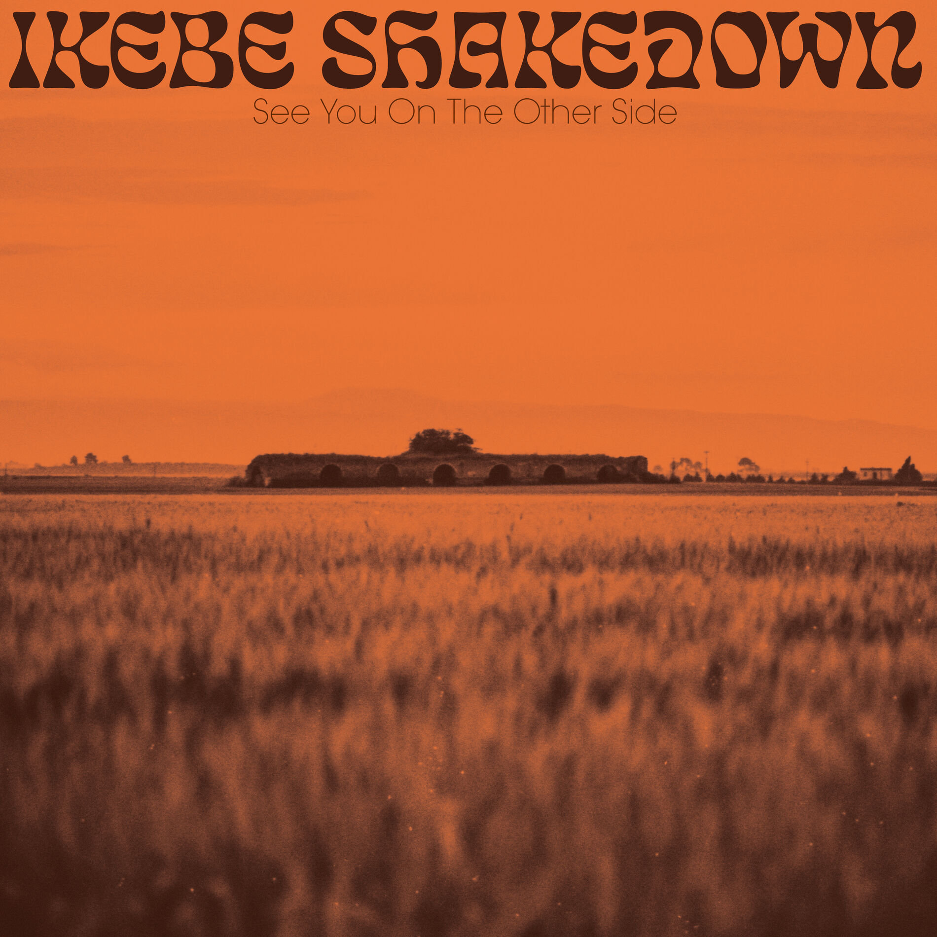 Album cover of See You On The Other Side