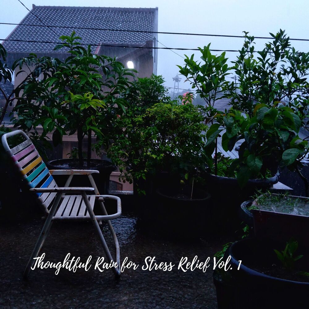 Picture of Thoughtful Rain for Stress Relief Vol. 1