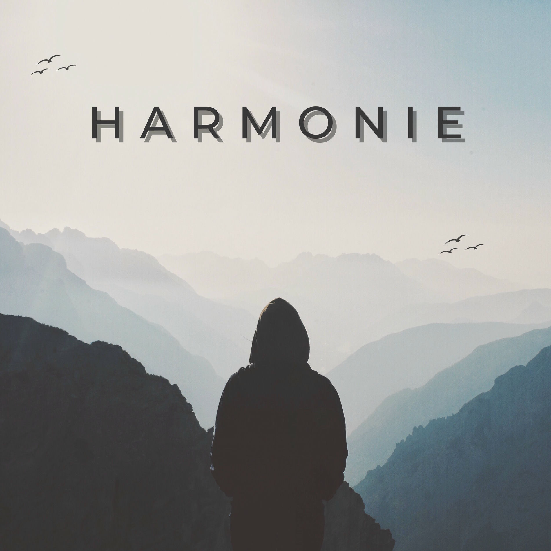Album cover of Harmonie