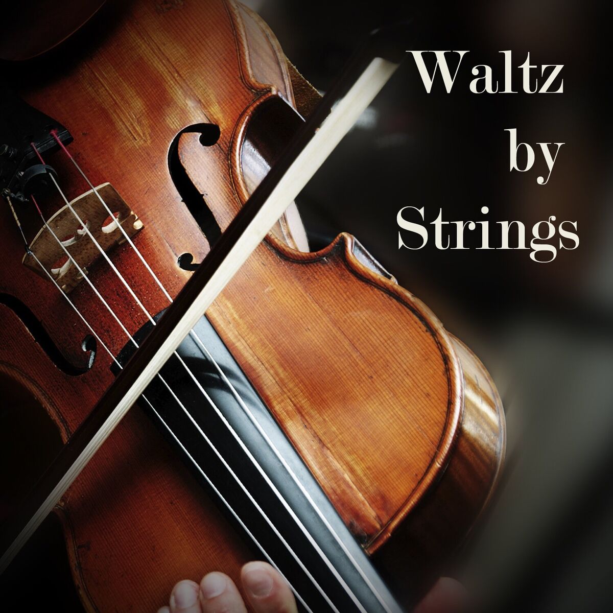 Album cover of Waltz by Strings