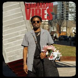 Cover of Shaganappi Vibes