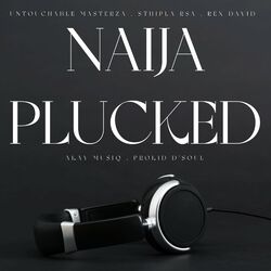 Cover of Naija Plucked