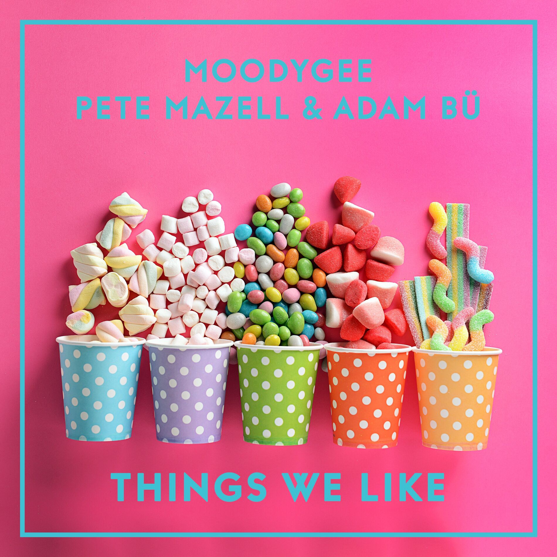 Album cover of Things We Like