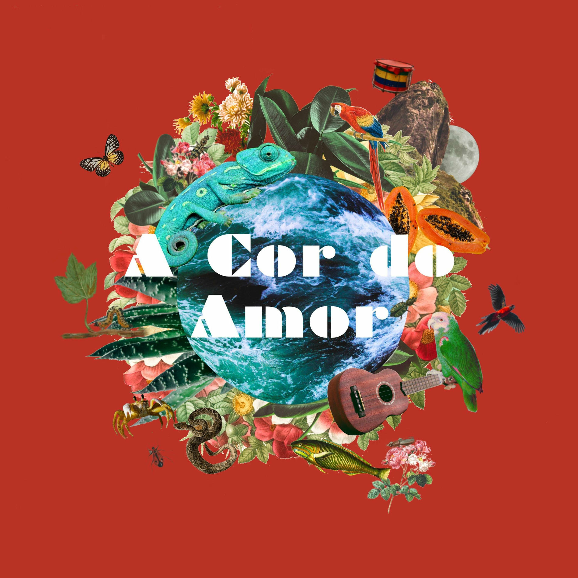 Album cover of A Cor do Amor