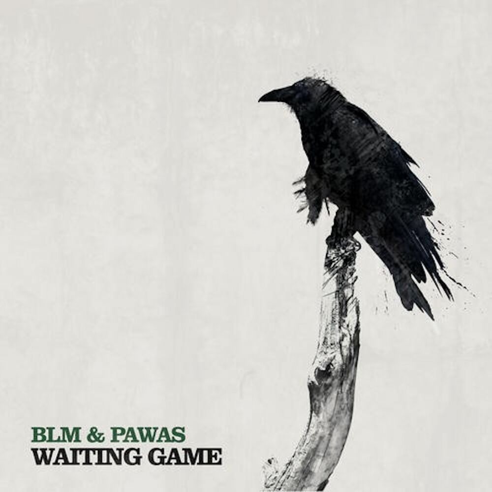 Picture of Waiting Game