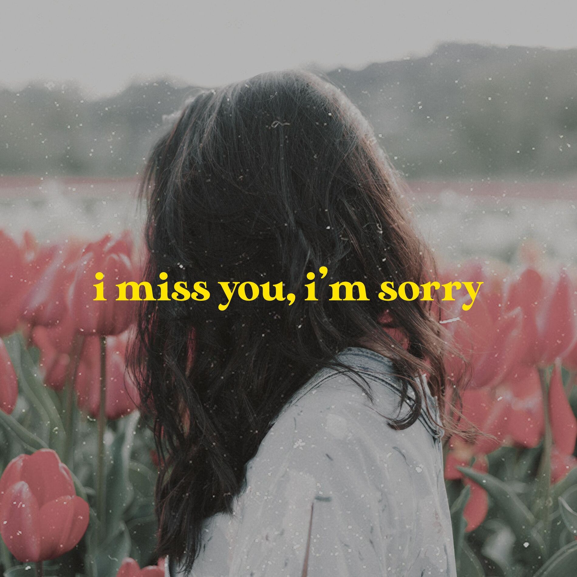 Album cover of I Miss You, I'm Sorry