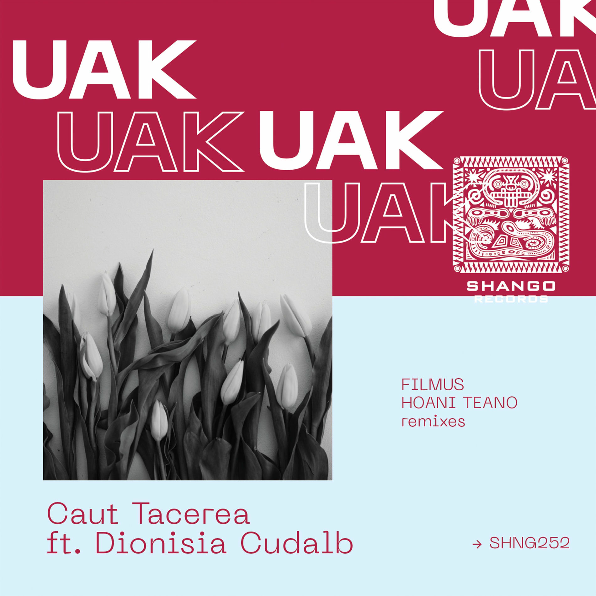Album cover of Caut Tacerea