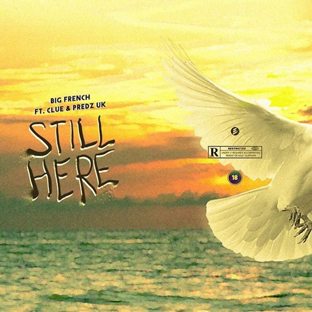 Picture of Still Here (feat. predz uk & clue)