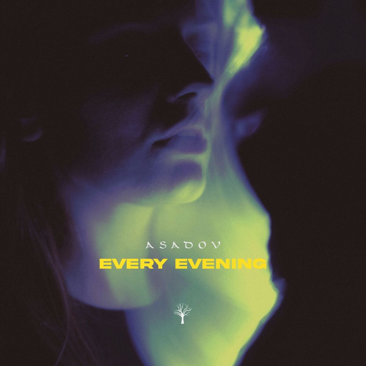 Album cover of Every Evening
