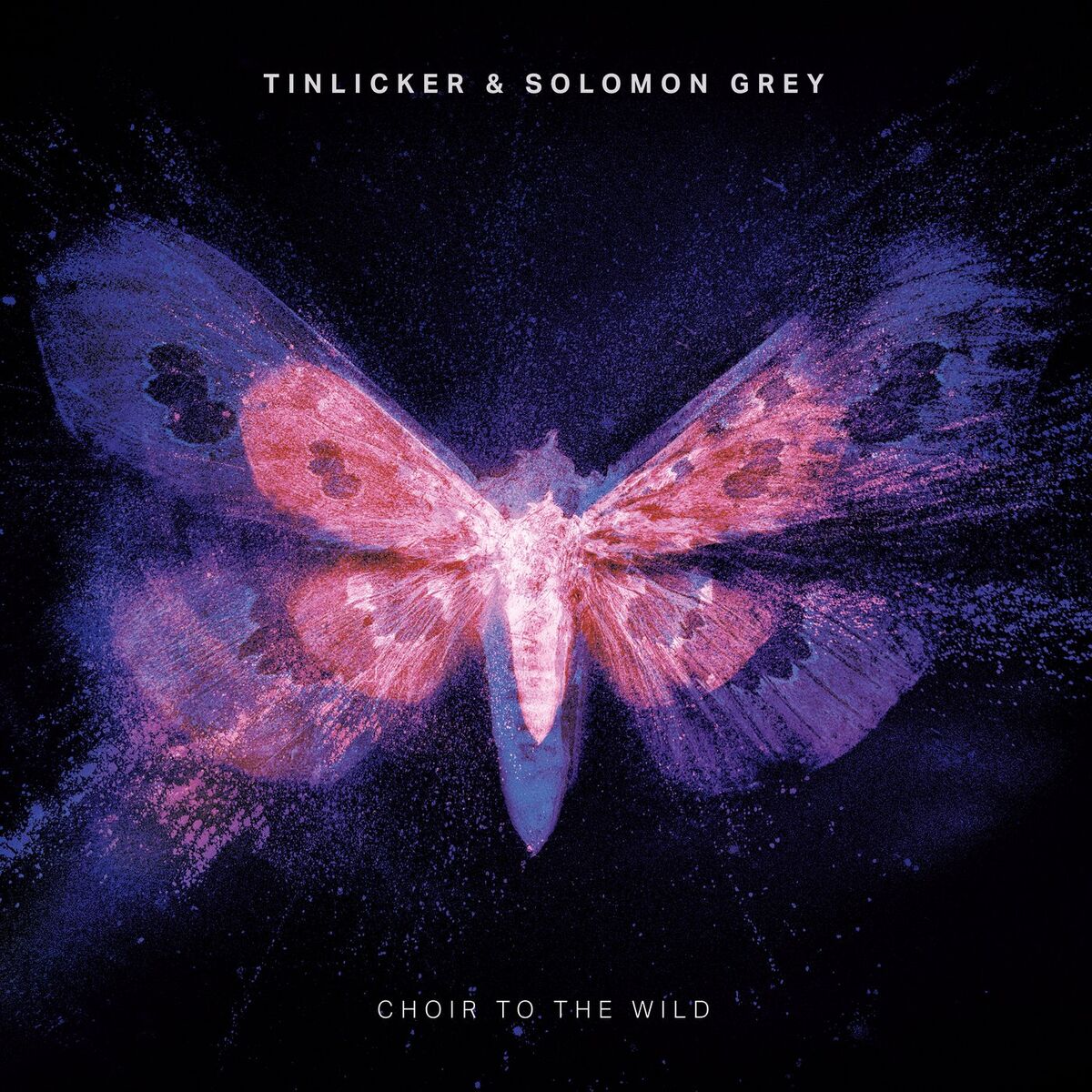 Album cover of Choir To The Wild