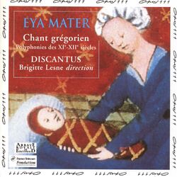 Cover of Eya Mater
