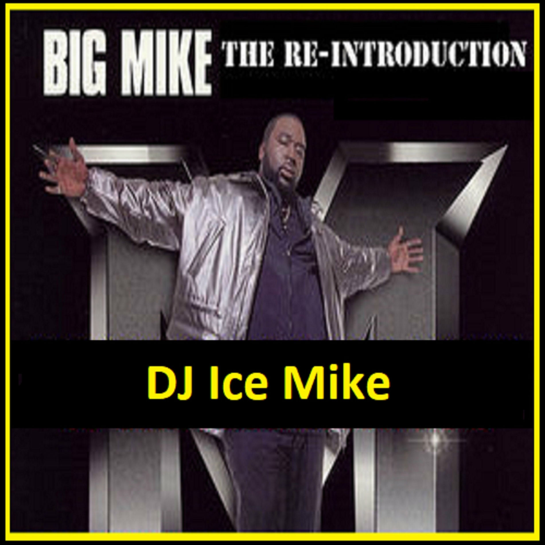 Album cover of The Re-Introduction