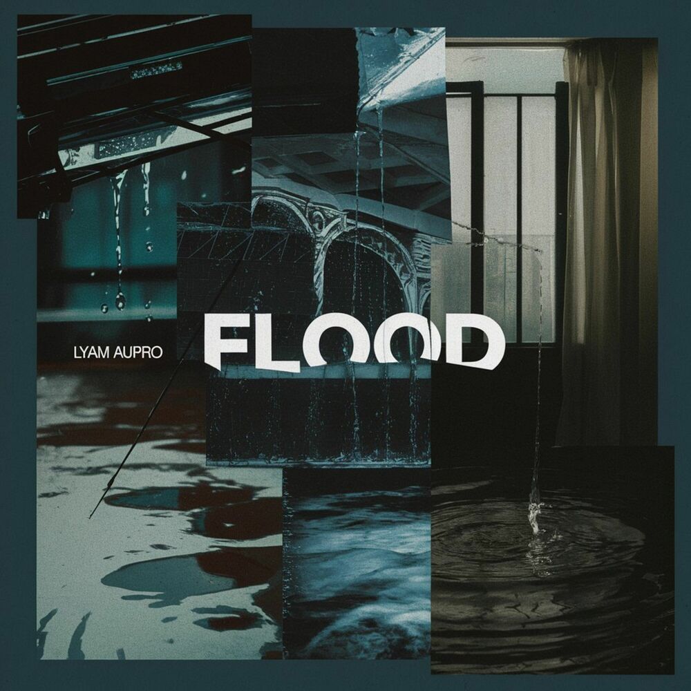 Picture of FLOOD