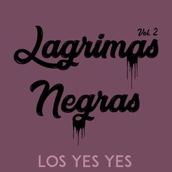 Cover of Lagrimas Negras Vol. 2