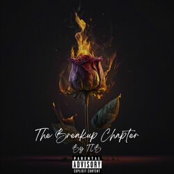 Cover of The Breakup Chapter
