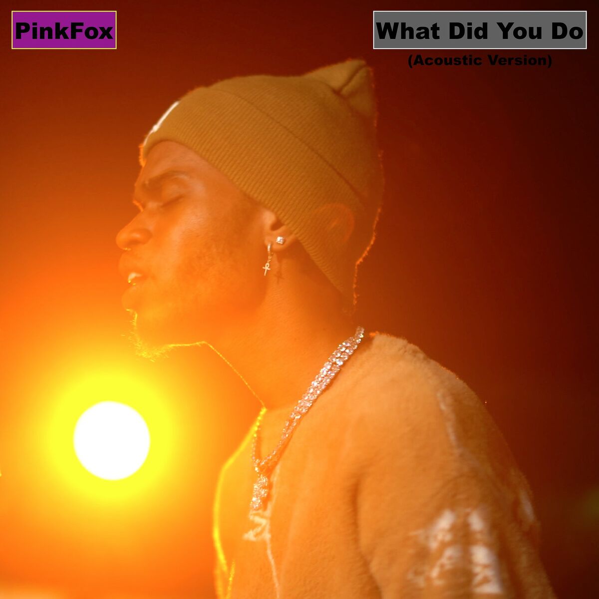 Album cover of What Did You Do (Acoustic Version)