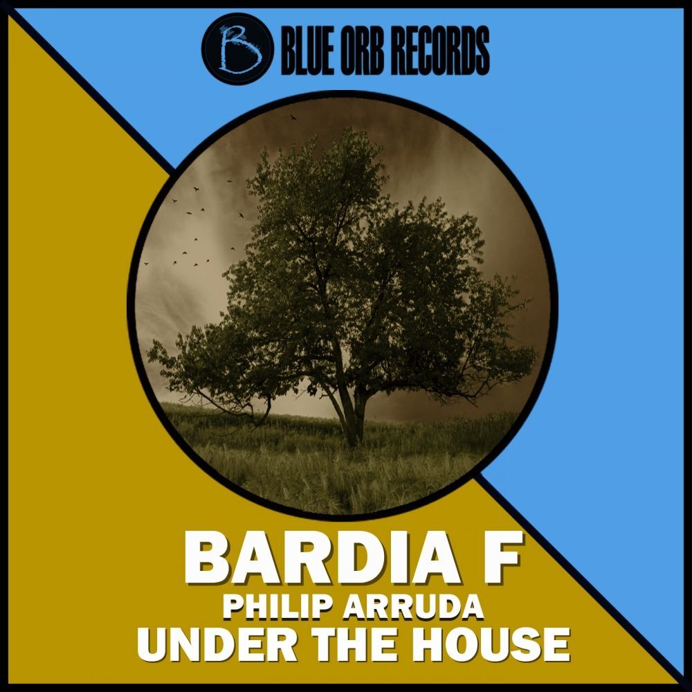 Picture of Under The House