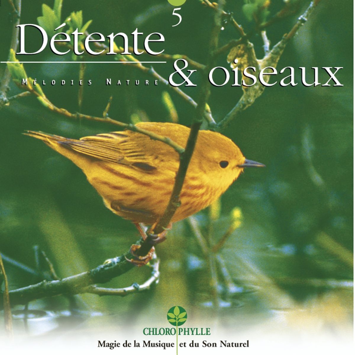 Album cover of La berceuse des oiseaux
